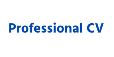 Professional Resume