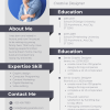 Professional CV Word Template