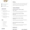 Business Analyst CV