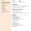 2-pages-CV-templates-8-2