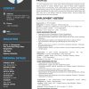 2-pages-CV-Sample-1