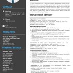 2-pages-CV-Sample-1