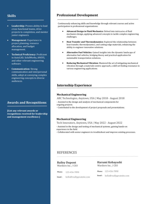 2-Pages-CV-on-Leadership-and-Management-Emphasis
